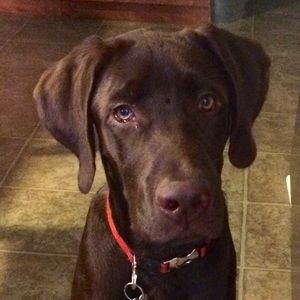 Meet your Posher, Shereen