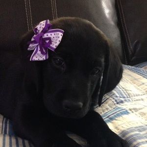 Meet your Posher, Brenda