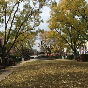 Meet your Posher, Grace