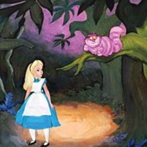 🎀reserved🎀 Alice and Cheshire Cat costume