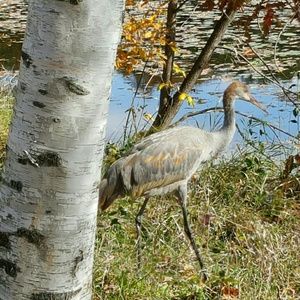 Meet your Posher, Scott