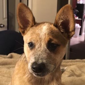 Meet your Posher, Ena