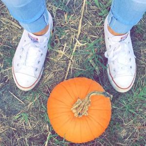 Meet your Posher, Millie