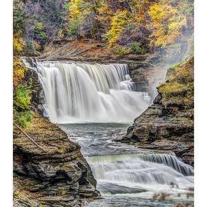 Meet your Posher, Rhonda