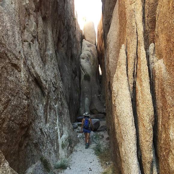 Meet your Posher, Tracy