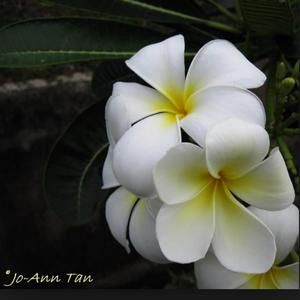 Meet your Posher, Vicky