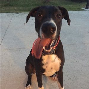 Meet your Posher, Jackie