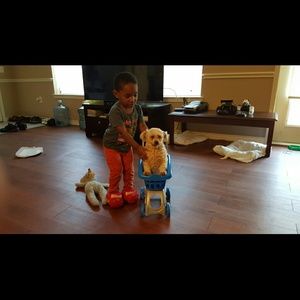 Meet your Posher, Debra