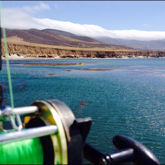 Quality over Quantity. - Picture 4 of 4