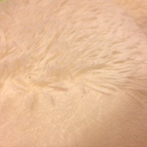 Meet your Posher, Lord