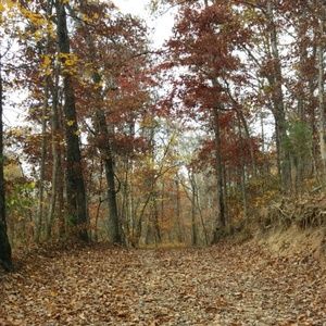 Meet your Posher, Kristy