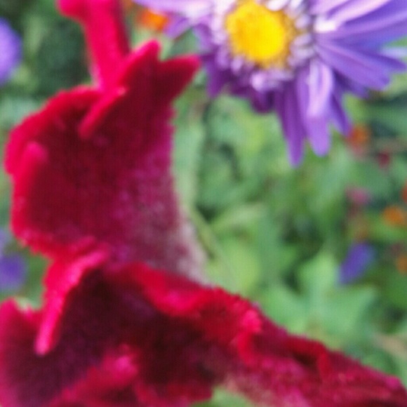 Meet your Posher, Ummhidaya