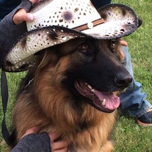 Meet your Posher, Tracie