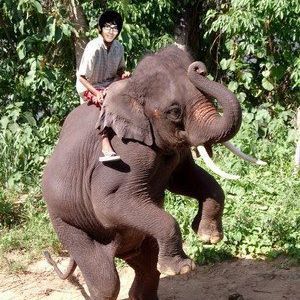 Meet your Posher, Brent