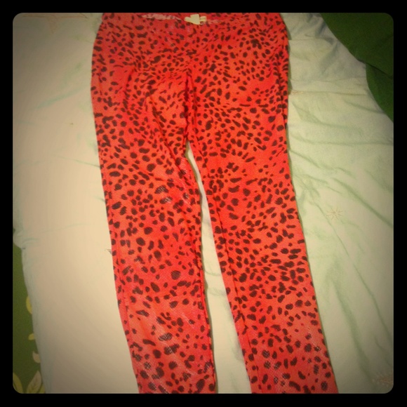 Leapord Print Pants. - Picture 1 of 1