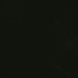 Meet your Posher, Citlali