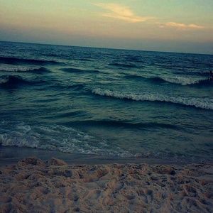 Meet your Posher, Zion