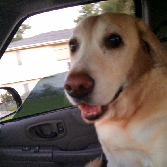 Meet your Posher, Tracy - Picture 1 of 1