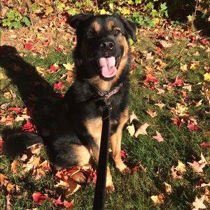 Meet your Posher, Liz