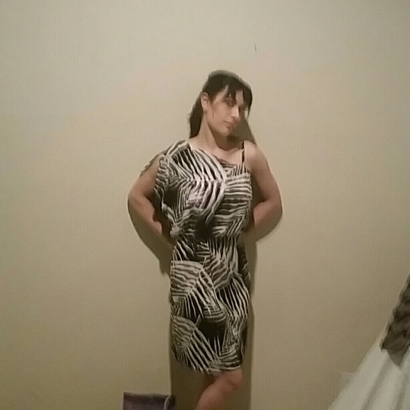 Cato zebra dress