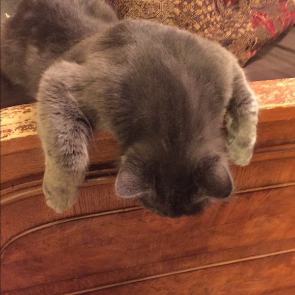 Meet your Posher, Krista - Picture 1 of 1