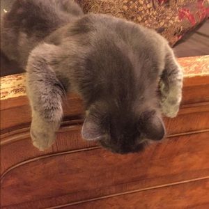 Meet your Posher, Krista