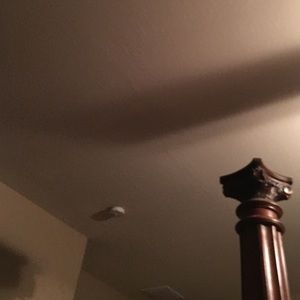 Meet your Posher, Celeste