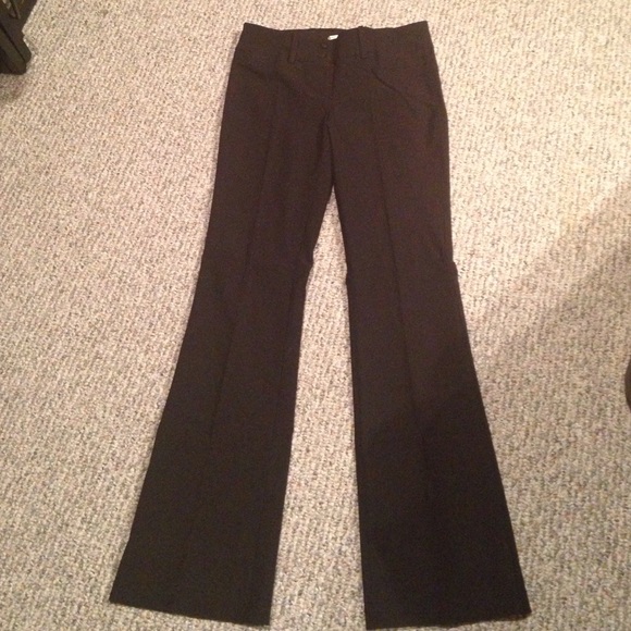 Have & Have Dress Pants