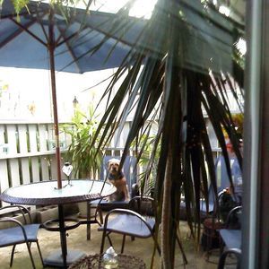 Meet your Posher, Jackie