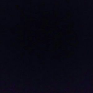 Meet your Posher, Dane