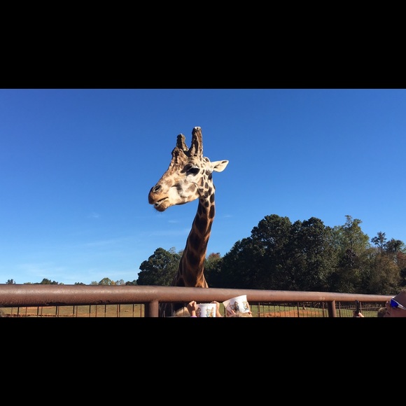 Meet your Posher, Katy