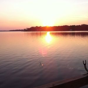 Meet your Posher, Loretta