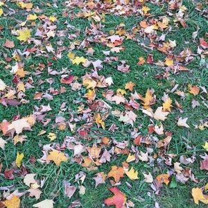 Meet your Posher, Reb