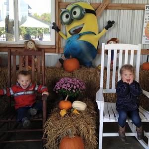 Meet your Posher, Terri