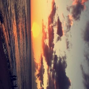 Meet your Posher, Jade