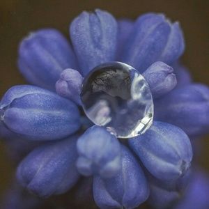 Meet your Posher, Jan