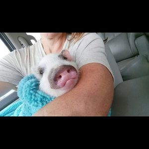 Meet your Posher, Beth