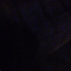 Meet your Posher, Bertha