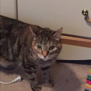 Meet your Posher, Cindy