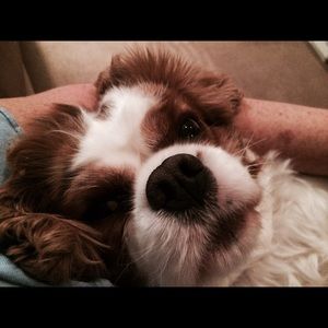 Meet your Posher, Theresa