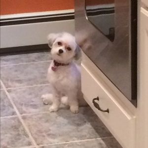 Meet your Posher, Mindy