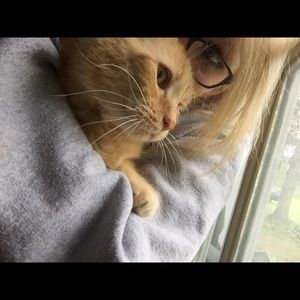 Meet your Posher, Amber