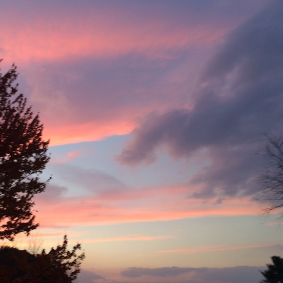 Meredith - Picture 2 of 2