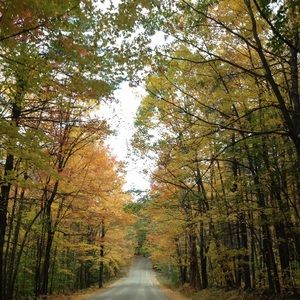 Meet your Posher, Adriana