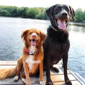 Meet your Posher, Pam