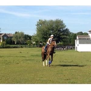 Meet your Posher, Steph