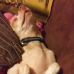 Meet your Posher, Stacey