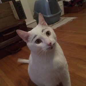 Meet your Posher, Emily