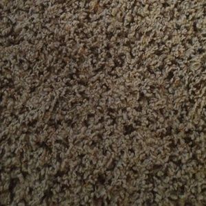 Meet your Posher, Tamika