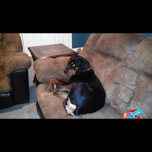 Meet your Posher, Erin